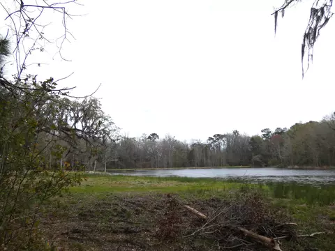 tbd Rainey Run, Monticello, FL 32344
