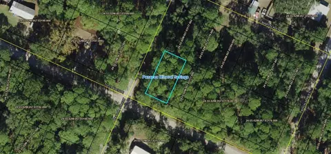 Nn Tully Avenue, Panacea, FL 32346