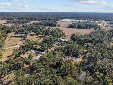 View/Area - 2072 Hugh Lilliott Rd, Perry, FL 32347 photo 5 of 9