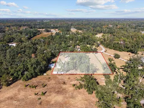 View/Area - 2072 Hugh Lilliott Rd, Perry, FL 32347 photo 1 of 9