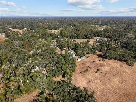 View/Area - 2072 Hugh Lilliott Rd, Perry, FL 32347 photo 8 of 9
