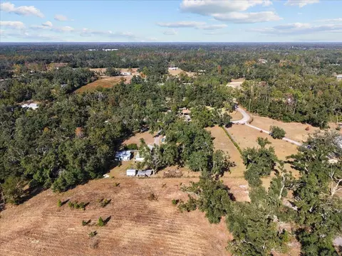View/Area - 2072 Hugh Lilliott Rd, Perry, FL 32347 photo 7 of 9
