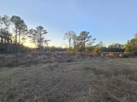 241 NW Darwin Loop, Madison, FL 32340