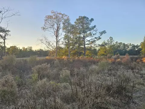 241 NW Darwin Loop, Madison, FL 32340 photo 3