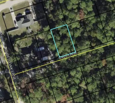 lot58 Owl Ln, Crawfordville, FL 32327
