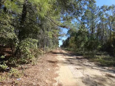 tbd E Meadow Rd, Monticello, FL 32344