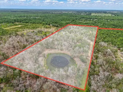 11256 S County Road 53, Lee, FL 32059 photo 42
