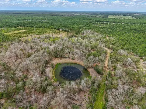 11256 S County Road 53, Lee, FL 32059 photo 36
