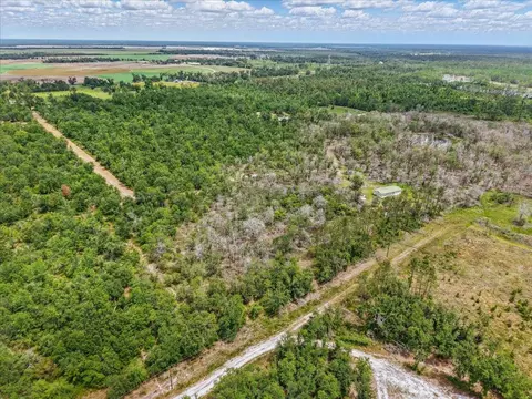 11256 S County Road 53, Lee, FL 32059 photo 27