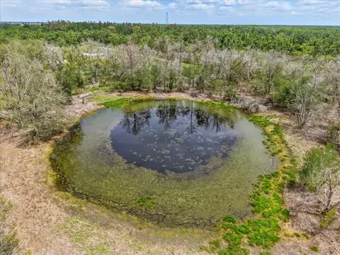11256 S County Road 53, Lee, FL 32059 photo 3