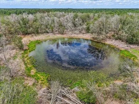 11256 S County Road 53, Lee, FL 32059 photo 41