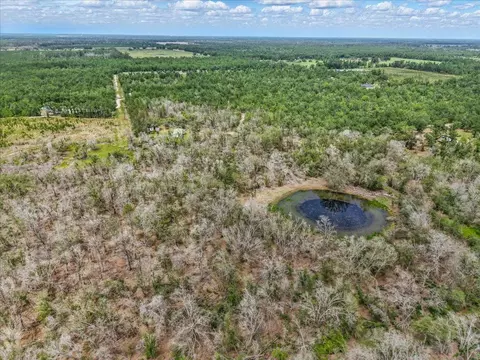 11256 S County Road 53, Lee, FL 32059 photo 38