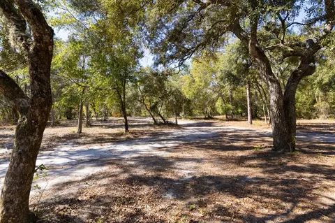 Exterior - 3850 Preston Sheffield Rd, Perry, FL 32347 photo 6 of 19