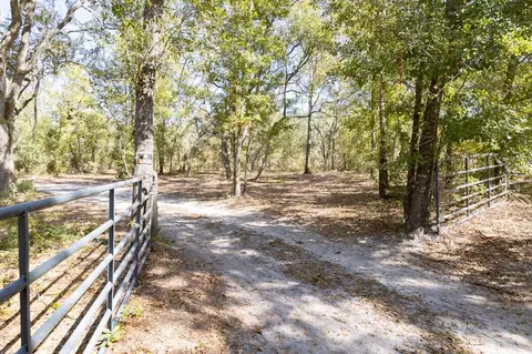 Exterior - 3850 Preston Sheffield Rd, Perry, FL 32347 photo 19 of 19