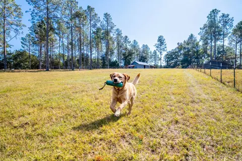 9283 Tallokas Rd, Pavo, GA 31778