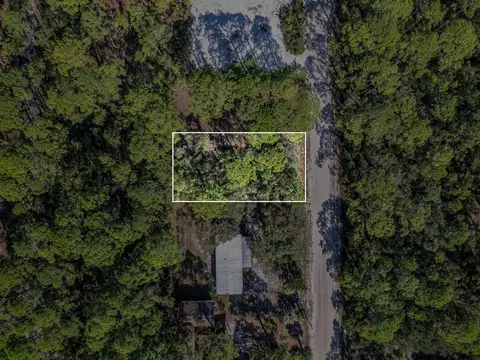 Nn Mississippi Avenue, Panacea, FL 32346