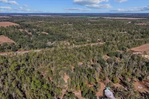 0 E Us Hwy 90, Lee, FL 32059 photo 5