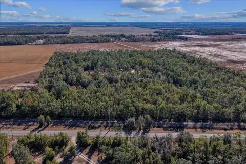 0 E Us Hwy 90, Lee, FL 32059 photo 8