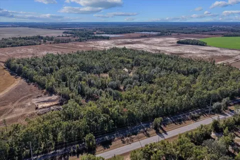 0 E Us Hwy 90, Lee, FL 32059 photo 10