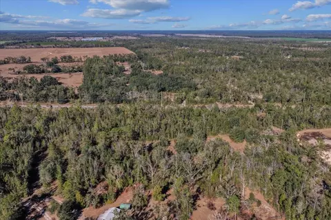 0 E Us Hwy 90, Lee, FL 32059 photo 13