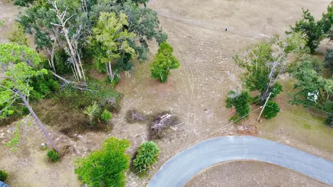 Vacant Forest Circle, Perry, FL 32347 photo 11