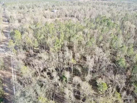 NE Cedar Trail, Pinetta, FL 32350 photo 13