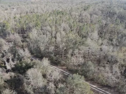 NE Cedar Trail, Pinetta, FL 32350 photo 15