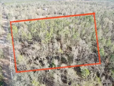 NE Cedar Trail, Pinetta, FL 32350 photo 12