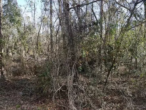 NE Cedar Trail, Pinetta, FL 32350 photo 6