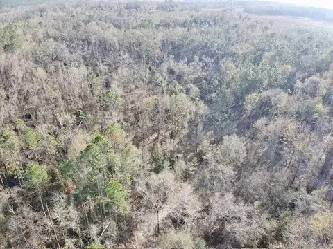 NE Cedar Trail, Pinetta, FL 32350 photo 14
