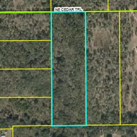 NE Cedar Trail, Pinetta, FL 32350 photo 2