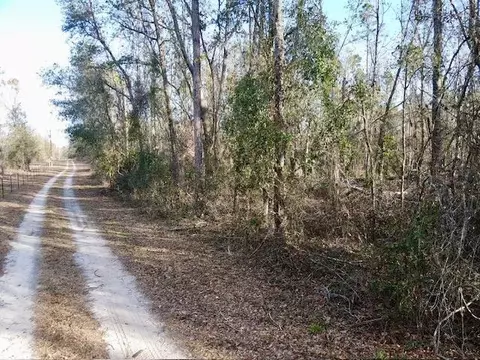 NE Cedar Trail, Pinetta, FL 32350 photo 9