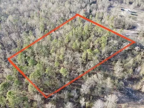 NE Cedar Trail, Pinetta, FL 32350