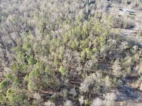 NE Cedar Trail, Pinetta, FL 32350 photo 8