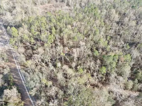 NE Cedar Trail, Pinetta, FL 32350 photo 11