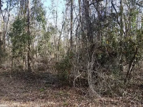 NE Cedar Trail, Pinetta, FL 32350 photo 4