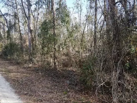 NE Cedar Trail, Pinetta, FL 32350 photo 5