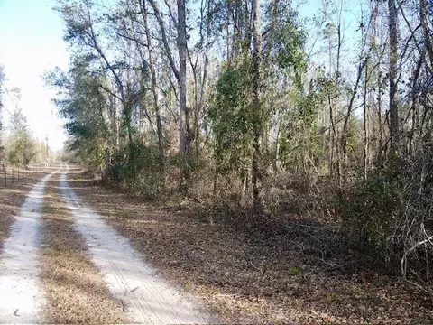 NE Cedar Trail, Pinetta, FL 32350 photo 3
