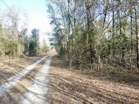 NE Cedar Trail, Pinetta, FL 32350 photo 10