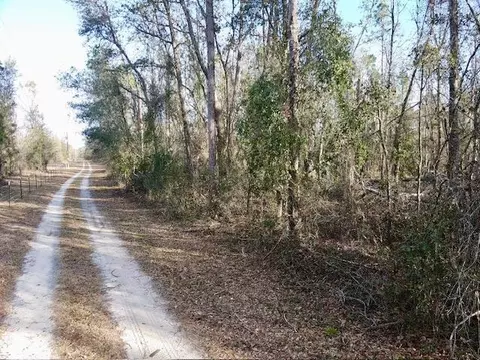 NE Cedar Trail, Pinetta, FL 32350 photo 7