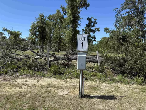 2745 Sea Oaks Loop, Perry, FL 32348 photo 3