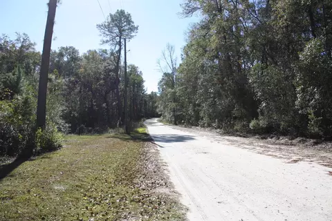 463 Murmuring Creek Rd, Monticello, FL 32344 photo 13