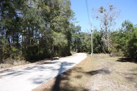 463 Murmuring Creek Rd, Monticello, FL 32344 photo 12