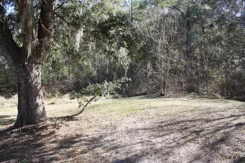 463 Murmuring Creek Rd, Monticello, FL 32344 photo 10