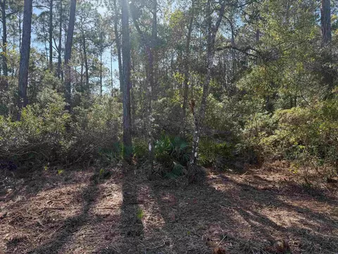 Nn Normans Way, Panacea, FL 32346