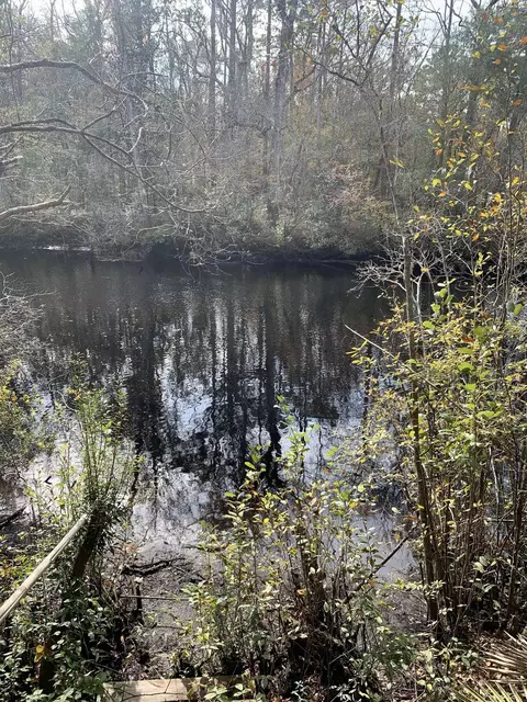 lot4 5 Seminole Ln, Sopchoppy, FL 32358
