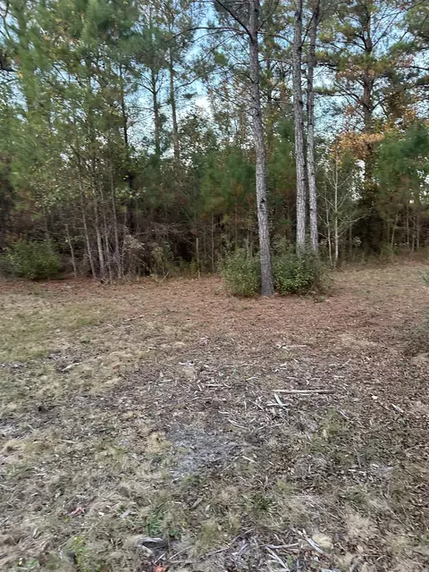 000 Taylor Rd, Monticello, FL 32344