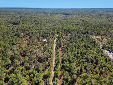 311 Clarks Landing Rd, Carrabelle, FL 32322 photo 6