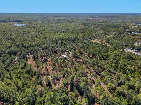 311 Clarks Landing Rd, Carrabelle, FL 32322 photo 5