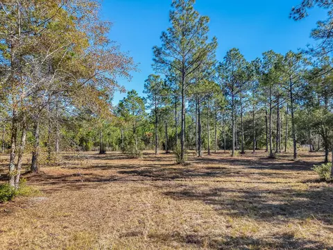 311 Clarks Landing Rd, Carrabelle, FL 32322 photo 10